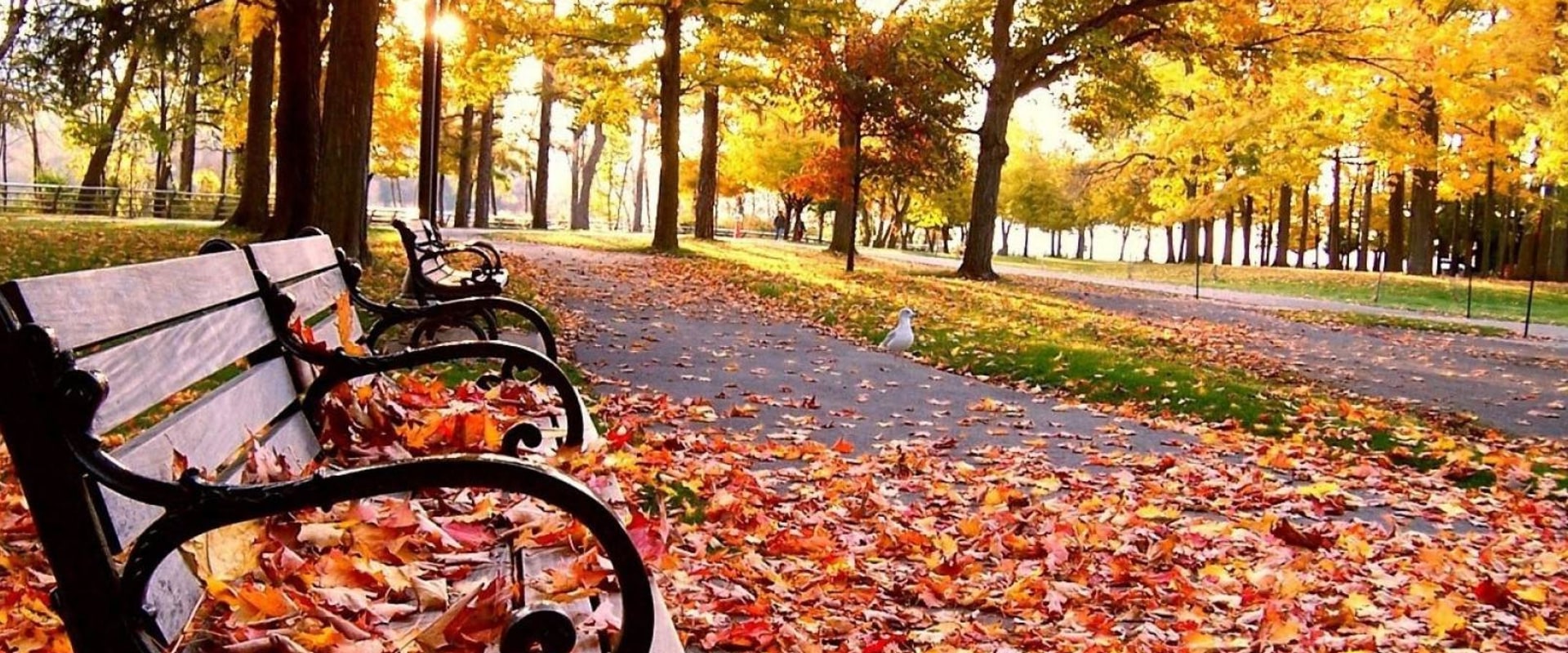 Which semester is better fall or spring?